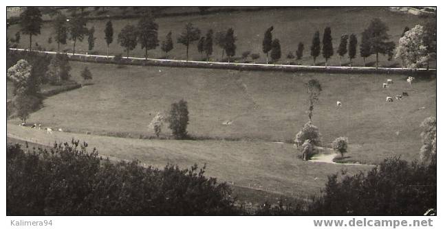 Vue Générale De NOGENT - EN - BASSIGNY  /  Cpsm Avec BEAU  DAGUIN  De  1950 ( écrite Par "CHOUPETTE" ! ) - Nogent-en-Bassigny