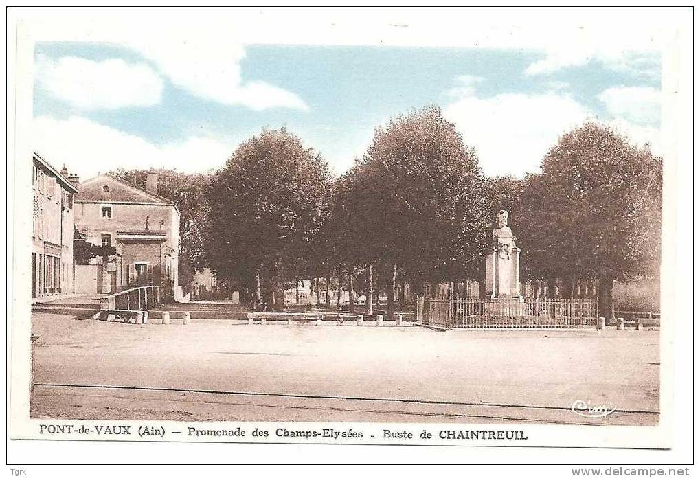 Pont De Vaux    Promenade Des Champs Elysées  Buste Chaintreuil - Pont-de-Vaux