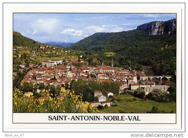 {46777} 82 Tarn Et Garonne Saint Antonin Noble Val , Vue Générale - Saint Antonin Noble Val