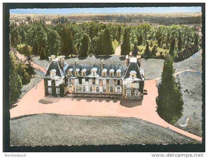 CPSM - En Avion Au-dessus De NERONDES (18) - Vue Aérienne Du Château De Fontenay ( LAPIE 7) - Nérondes