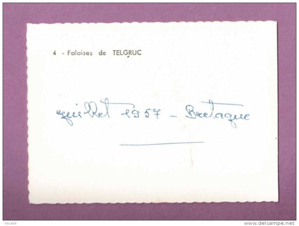TELGRUC - Les Falaises - Carte Petit Format 1957 - Crozon
