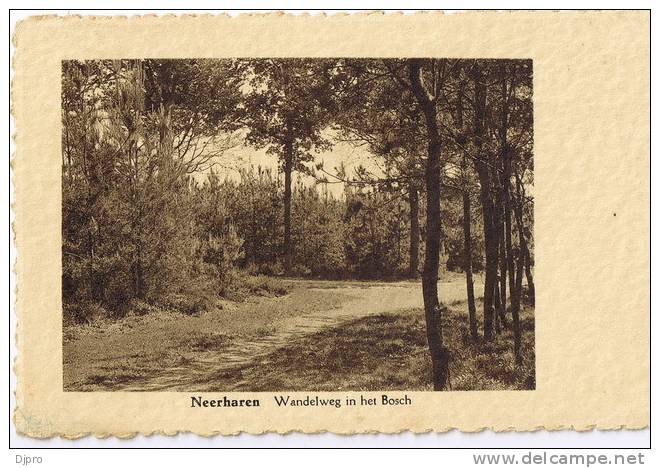 Neerharen  Wandelweg In Het Bosch - Autres & Non Classés