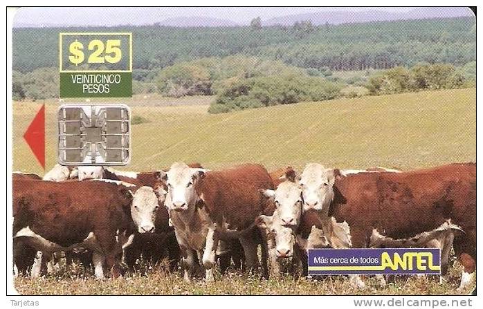 Nº 23/a TARJETA VACAS DE 25$ - Uruguay