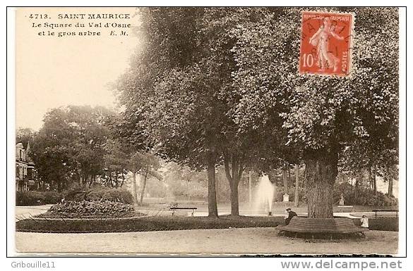 SAINT MAURICE  -  LE SQUARE DU VAL D'OSNE ET LE GROS ARBRE - Saint Maurice