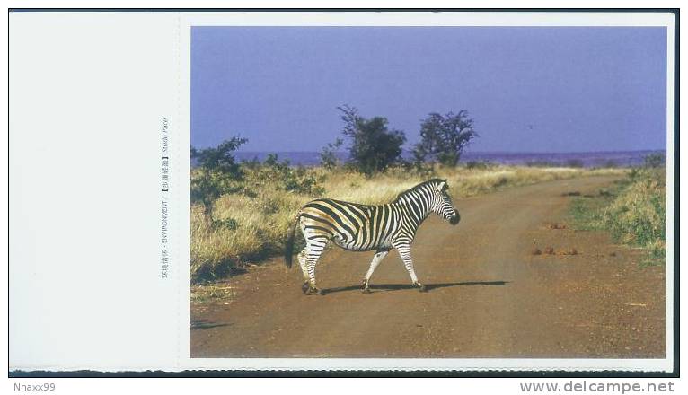 Zebra - A Walking Grevy's Zebra, China Postcard With Weekly Calendar, Week 13 Of 2005 - Cebras
