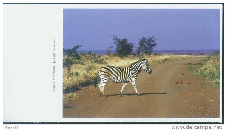 Zebra - A Walking Grevy's Zebra, China Postcard With Weekly Calendar, Week 13 Of 2005 - Zebre