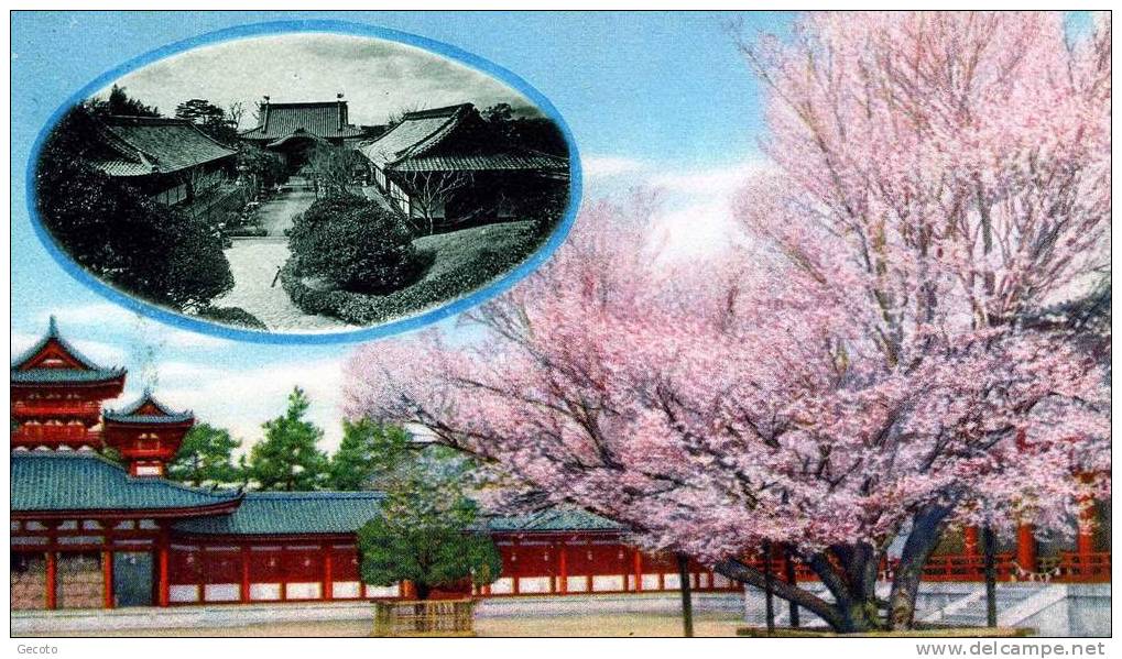 Cherry Blossoms At The Heian Jingu  , Kyoto - Kyoto