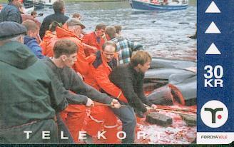 PILOT WHALES ( Faroe Islands ) Whale Fishing - Baleine Pêche - Ballena Pesca - Balena - Wal Fish - Poisson - Pez - Féroé (Iles)
