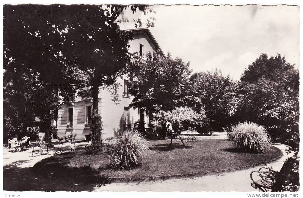 - VICHY   - Hôtel Des Lilas  - Un Coin Du Parc - Vichy