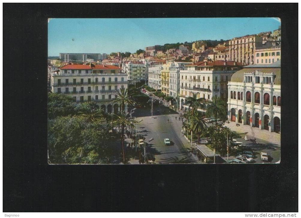 ALGER Postcard ALGERIA - Algiers