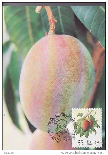 MADERE CARTE Maximum  NUM.YVERT 156 PLANTES ET FRUITS SUBTROPICAUX - Cartes-maximum (CM)