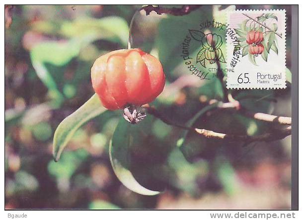 MADERE CARTE Maximum  NUM.YVERT 157 PLANTES ET FRUITS SUBTROPICAUX - Tarjetas – Máximo