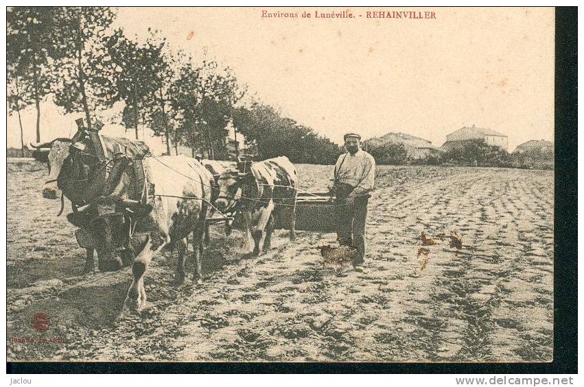 TRES BELLE SCENE DE LABOURAGE REHAINVILLER PRES DE LUNEVILLE REF 4316 - Landwirtschaftl. Anbau