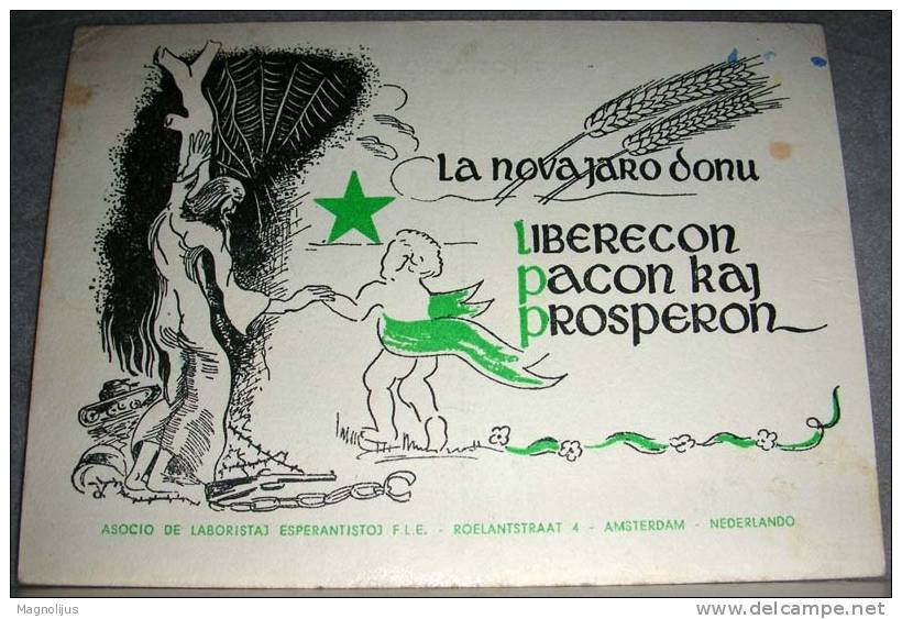 Esperanto,Netherlands,Illustrated,Symbolic,Signatured,postcard - Esperanto