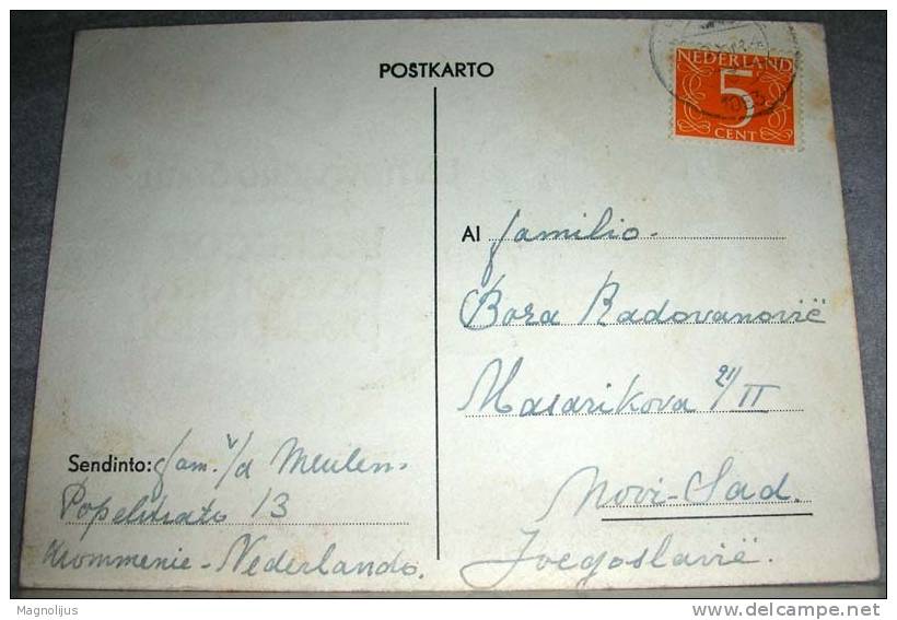 Esperanto,Netherlands,Illustrated,Symbolic,Signatured,postcard - Esperanto