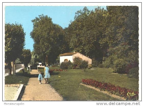 77)FL) BRAY SUR SEINE, Jardin Public, CPSM Ed Combier - Bray Sur Seine