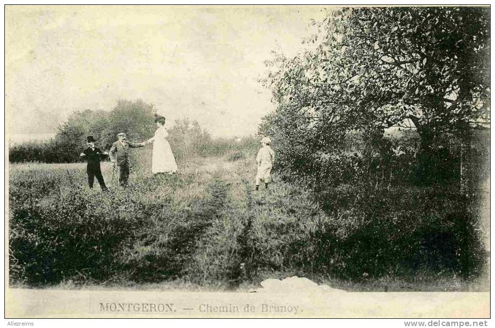 CPA 91 : MONTGERON    Chemin De Brunoy   A VOIR !! - Montgeron