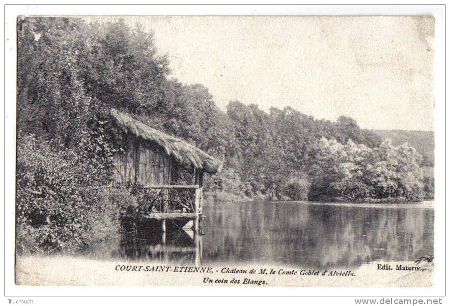 C3225 - Court-Saint-Etienne - Château De M. Le Comte Goblet D'Alviella - Un Coin Des Etangs - Court-Saint-Etienne