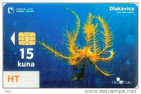 Croatia - Dlakavica - Undersea - Transparent Card - Kroatien