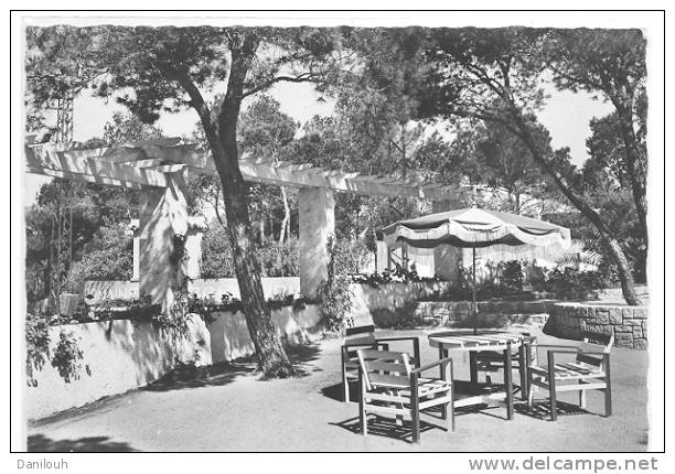 83/FL/ BOULOURIS SUR MER, Une Terrasse De La POTINIERE, CPSM Ed Legrand - Boulouris