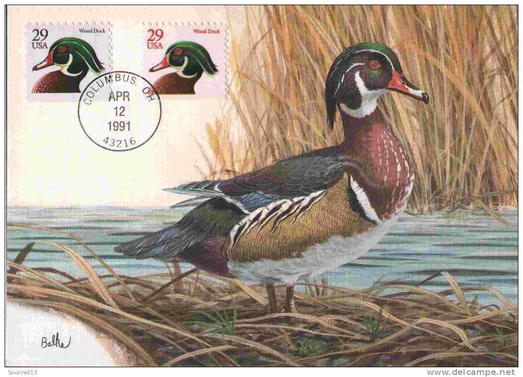 CPJ Usa 1991 Oiseaux Canards Wood Duck - Canards