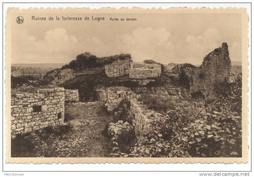 Logne (Ferrières). Ruines De La Forteresse. Accès Au Donjon. Ruïnes Van De Burcht. Toegong Tot De Burchttoren. - Ferrieres