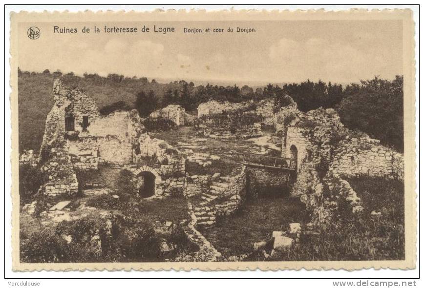 Logne (Ferrières). Ruines De La Forteresse. Donjon Et Cour Du Donjon. Ruïnes Van De Burcht. Burchttoren En Binnenplein. - Ferrieres