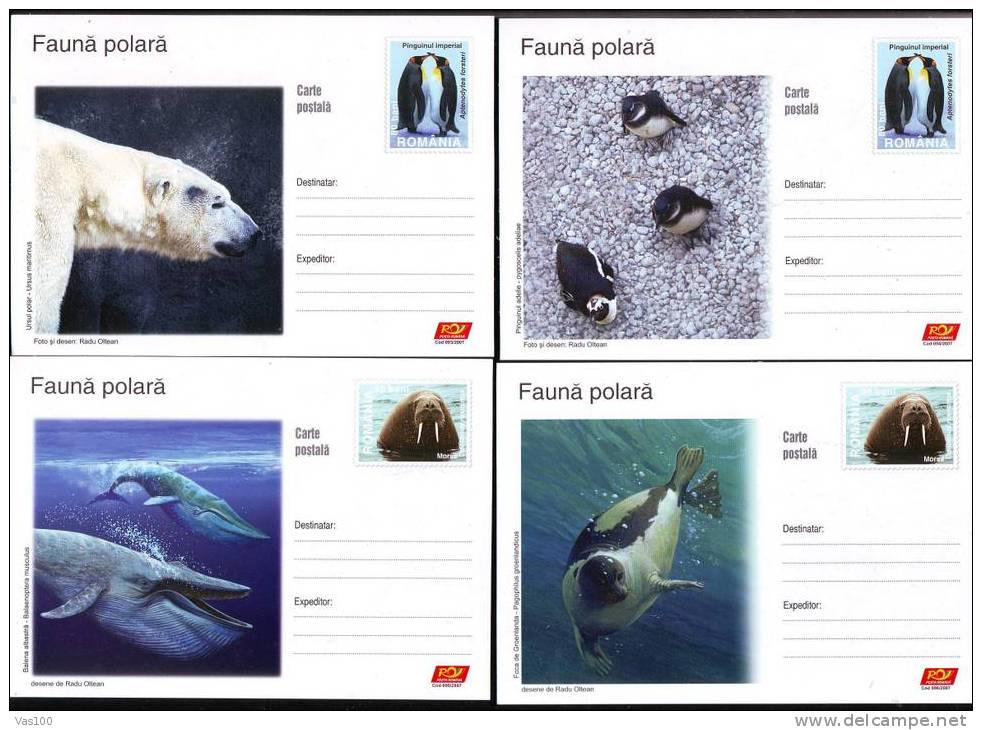 Polar Animals;whale,penguin,seal,bear,POSTCARDS 2007 Romania - Dolphins