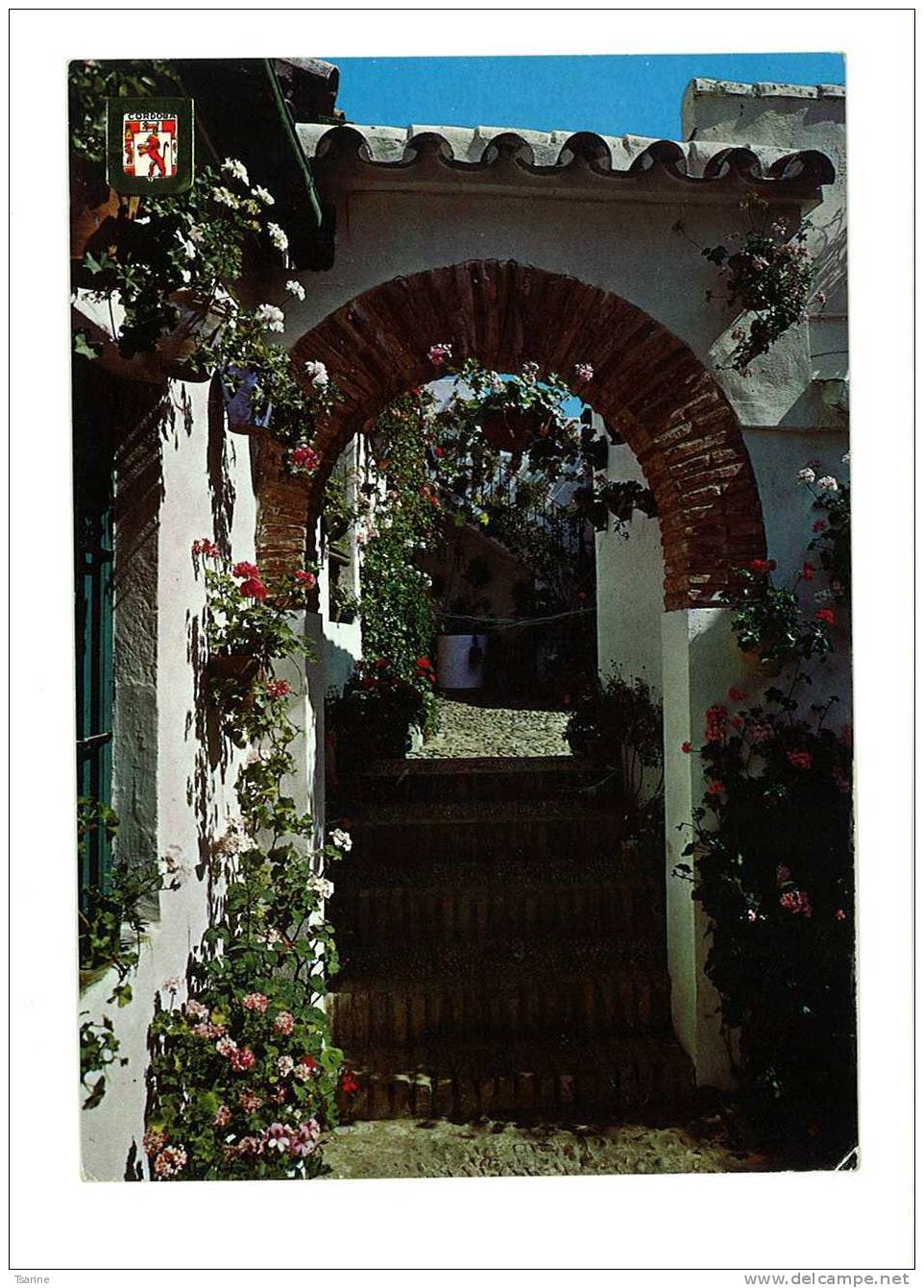 Espagne - Lot De 4 Cartes  De Cordoba : Patio En Calle Montero Et Puerta Del Perdon - Córdoba