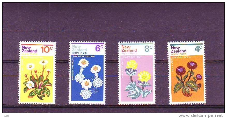 NUOVA ZELANDA 1972 -  Gibbons 983/86** Alpine Plants - Neufs