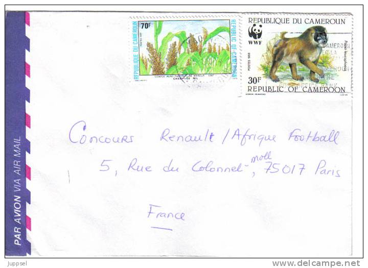 WWF, W.W.F.  CAMEROON  Monkey Envelope / CAMEROUN Singe Enveloppe  30 F - Monkeys