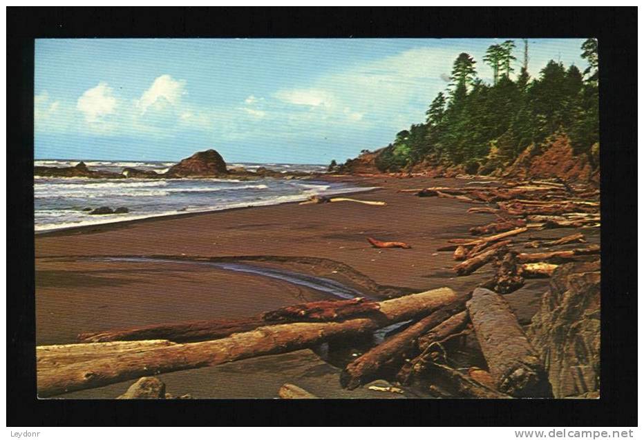 Beach At Trail # 4 At The Kalaloch Area Of Olympic National Park - USA Nationalparks