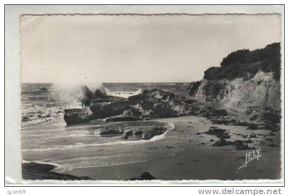 BRETIGNOLLES  LA SAUZAIE CPSM - Bretignolles Sur Mer