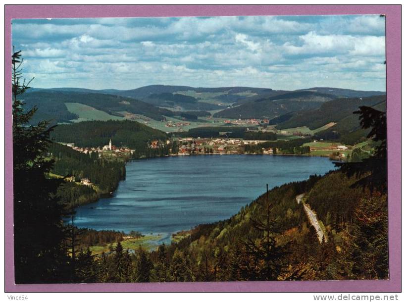 Titisee Im Hochschwarzwald  -  Panorama Sur Le Lac - Titisee-Neustadt