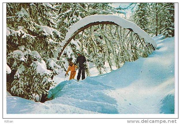 Les Joie De La Neige à Serre-chevallier - Serre Chevalier