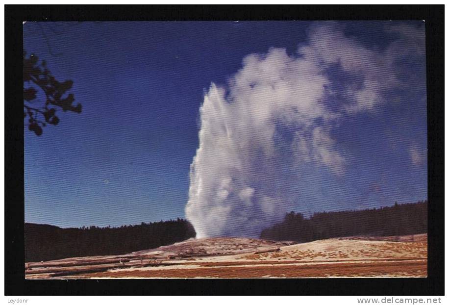 Old Faithful Geyser, Yellowstone National Park - USA Nationalparks