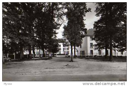 41 LAMOTTE BEUVRON Sanatorium Des Pins L'Entrée - Lamotte Beuvron