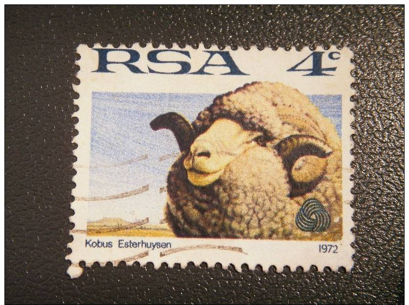 SOUTH AFRICA 1972 4c Wool Used SG 310 - Other & Unclassified