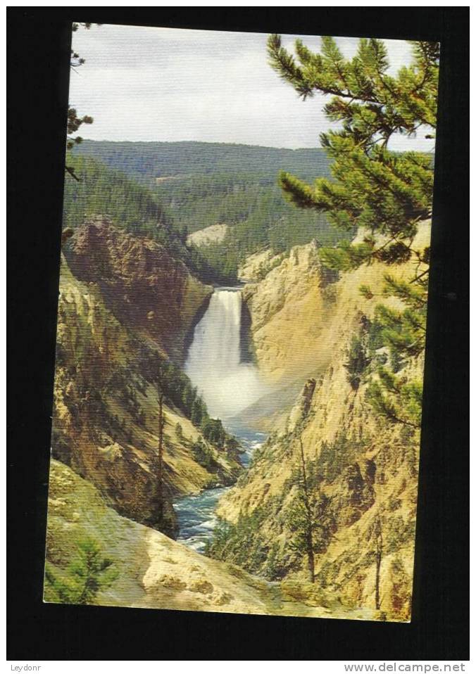 Lower Falls And Grand Canyon - Yellowstone National Park - USA Nationale Parken