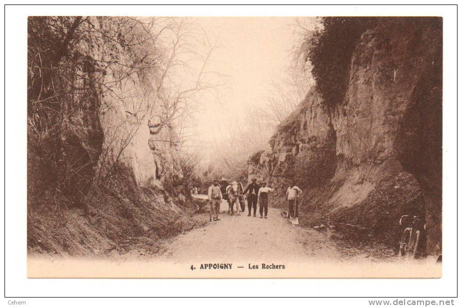 APPOIGNY 89 LES ROCHERS ANIMATION YONNE - Appoigny