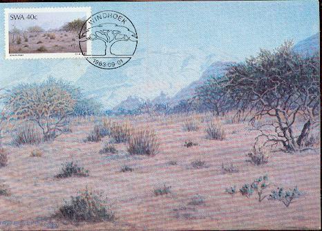 NAMIBIE CARTE MAXIMUM NUM.YVERT 499   PEINTURE BLATT - Namibie (1990- ...)