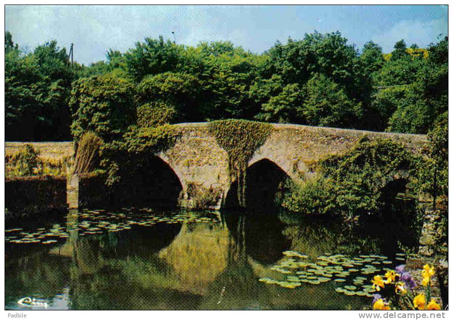 Carte Postale  79. Argenton-Chaeau Le Pont Romain Cadoret  Trés Beau Plan - Argenton Chateau