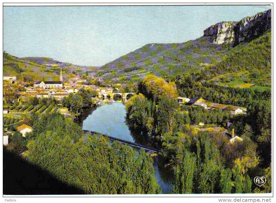 Carte Postale  82.  Saint-Antonin-Noble-Val  Et La Vallée De L'Aveyron Trés Beau Plan - Saint Antonin Noble Val