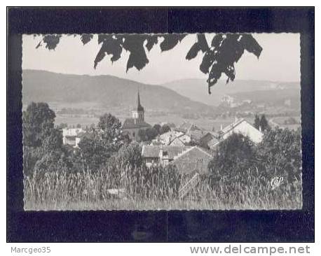 23694 Hauteville Panorama édit.cap N° 47  Belle Cpsm - Hauteville-Lompnes