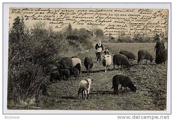 Cpa La Vie Au Champs - Dans La Campagne -TROUPEAU DE MOUTONS AGNEAU - Femme Et Enfant BELLE CARTE - Elevage