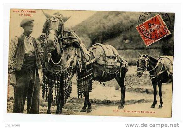 Cpa Les Pyrennees (6eme Série) CONDUCTEUR DE MULETS N°546 LF Labouche Frères - Crías