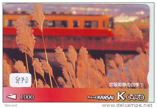 TC  Tram Train (8170) Trein Locomotive Eisenbahn Zug Japon Japan - Trains