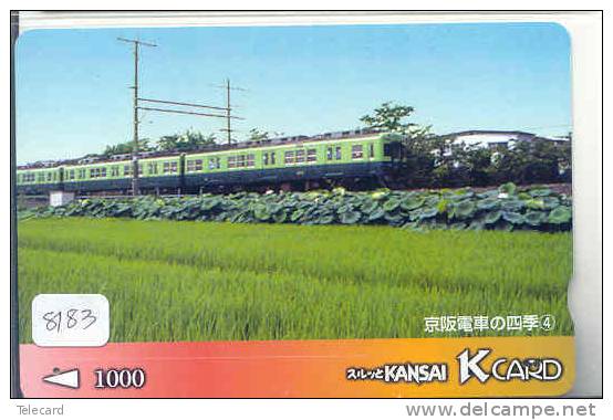 TC  Tram Train (8183) Trein Locomotive Eisenbahn Zug Japon Japan - Trains