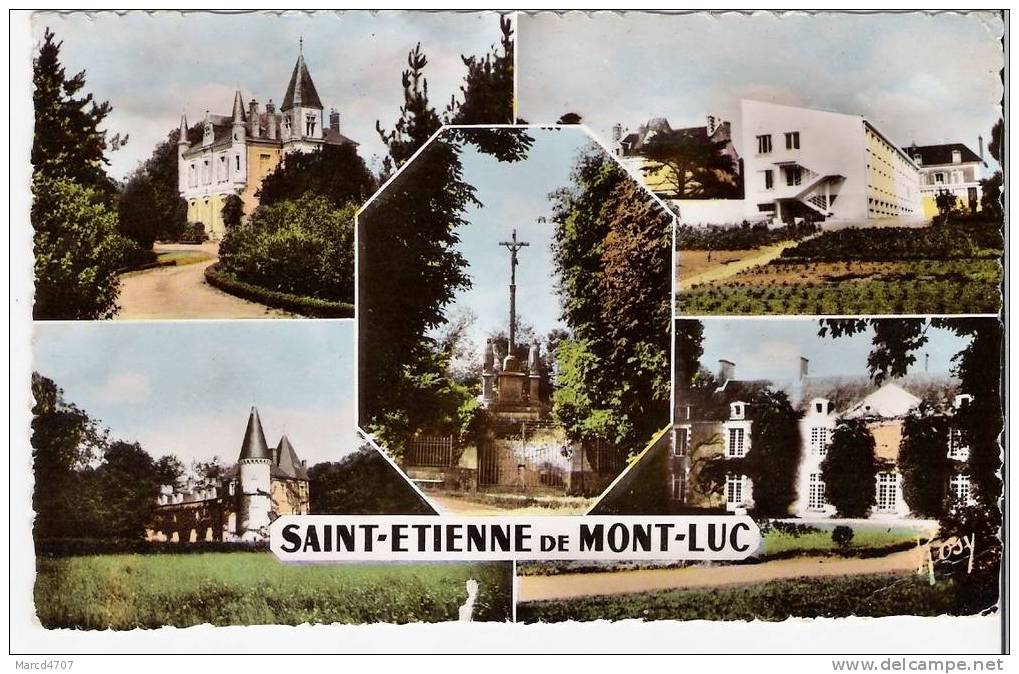 SAINT ETIENNE DE MONT LUC 44 Centre Hospitalier Le Chaud La Billais  Editions Chapeau Avec Timbre Coq Carte Dentelée - Saint Etienne De Montluc