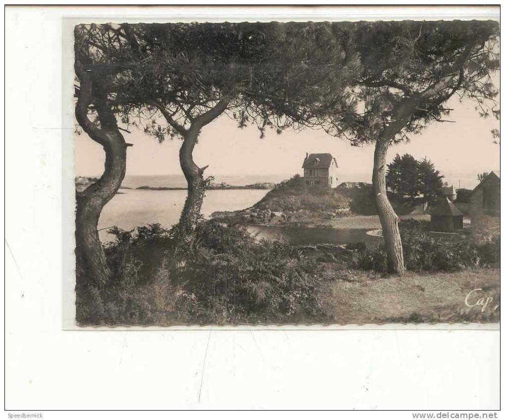 22-106 Ile De Bréhat . Le Chenal De La Chambre Vu Entre Les Pins . 105 CAP - Ile De Bréhat